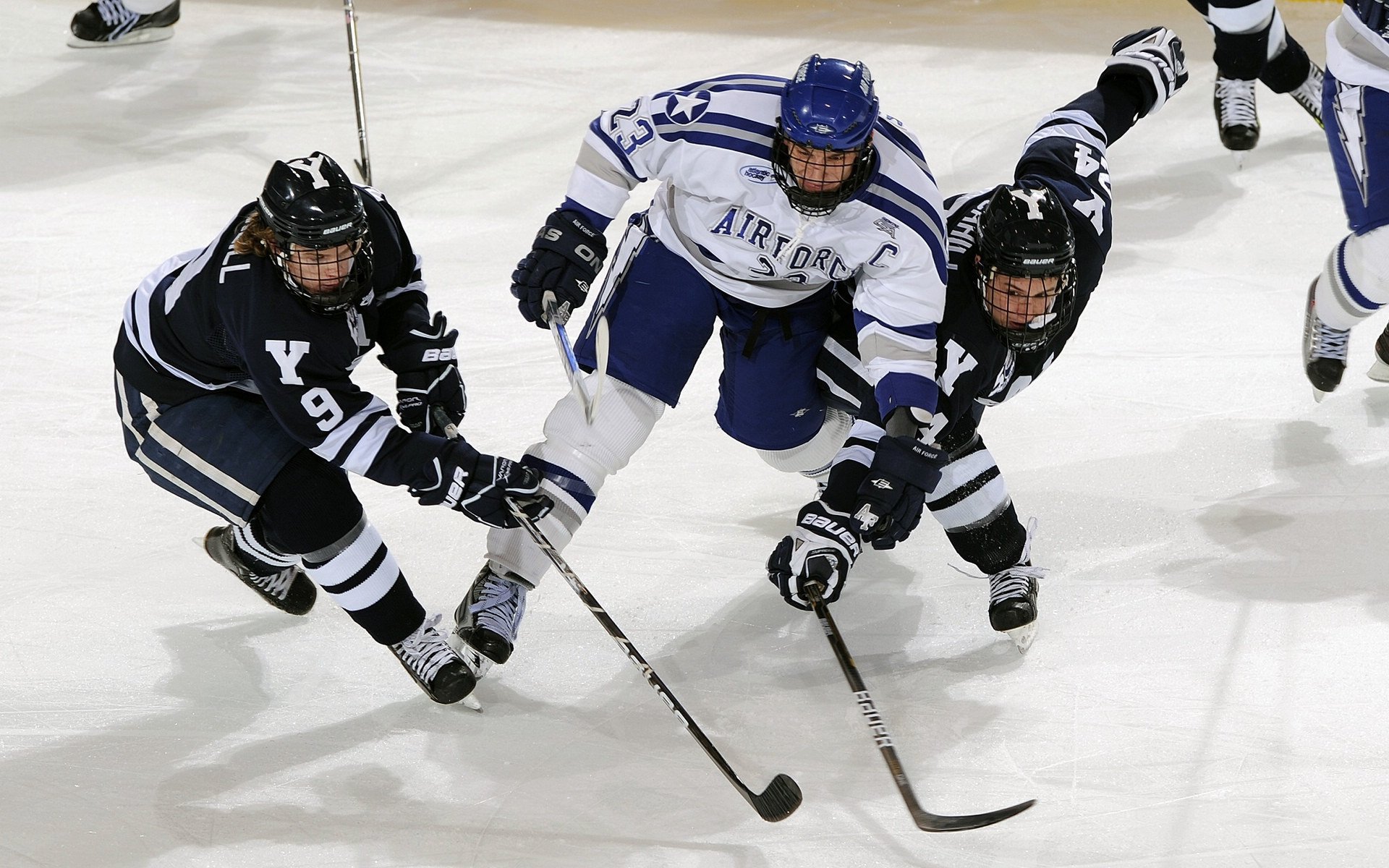辽宁飞豹加强防守体系有效限制对手得分,辽宁飞豹现役球员