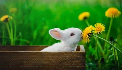 九游app下载中心-曼城对尤文的胜利强化其世俱杯头号竞争者地位，曼城尤文最新比赛