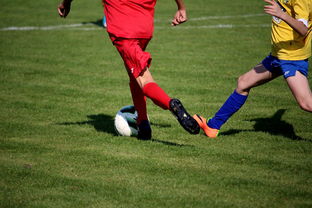 九游娱乐平台-仰泳大战美队领先毫厘之间，仰泳比赛视频欣赏